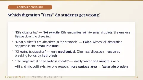 Slide 169