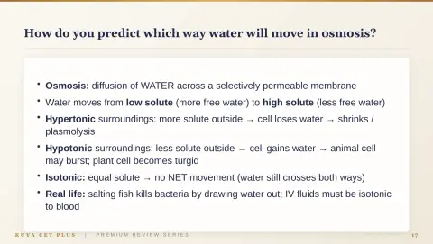 Slide 17