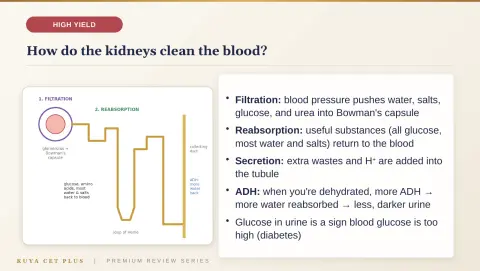 Slide 170