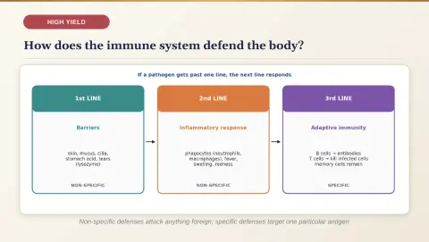 Slide 171
