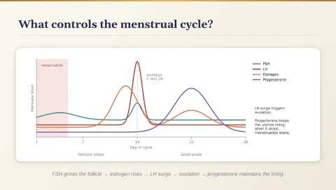 Slide 174