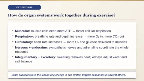 Slide 175