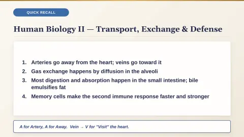 Slide 176