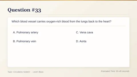 Slide 177