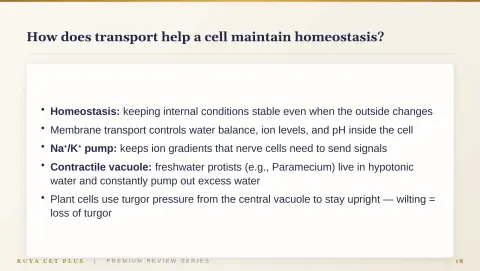 Slide 18