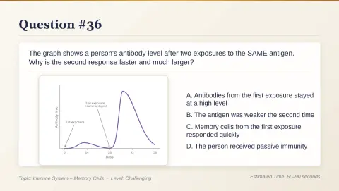 Slide 183