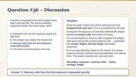 Slide 184