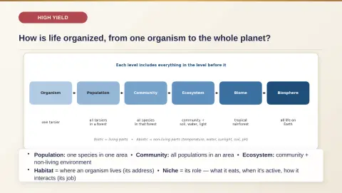 Slide 185