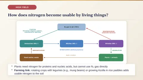 Slide 189