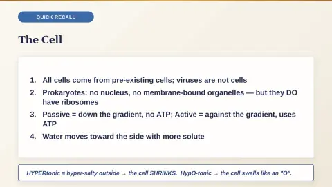 Slide 19