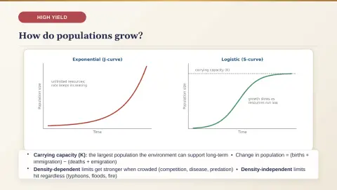 Slide 190