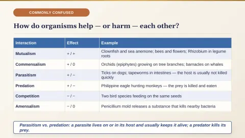 Slide 191
