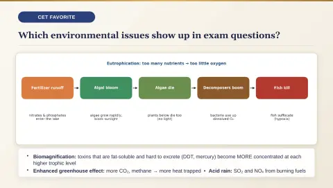 Slide 193