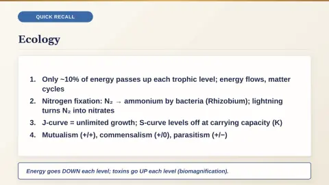 Slide 194