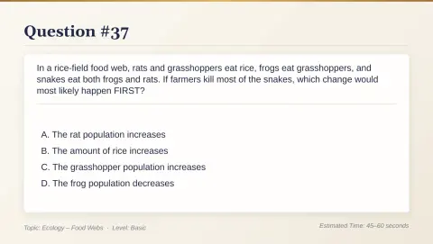 Slide 195