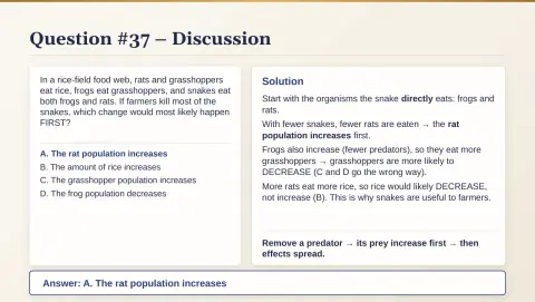 Slide 196