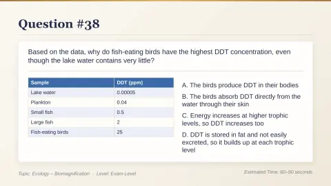 Slide 197
