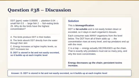 Slide 198