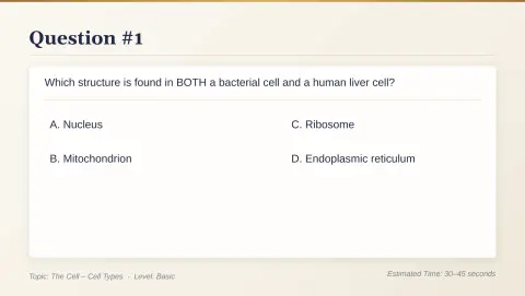 Slide 20