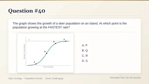 Slide 201