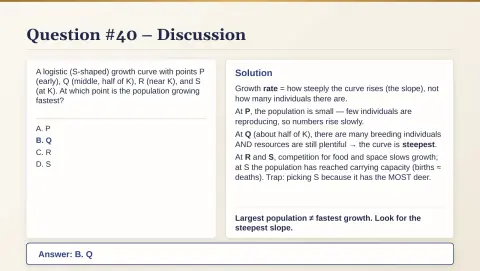 Slide 202