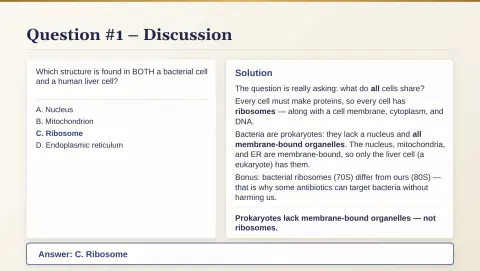 Slide 21