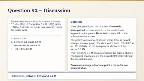 Slide 23