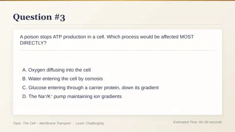 Slide 24