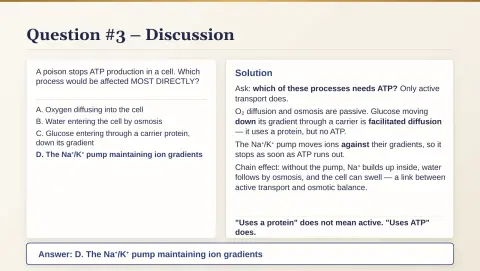 Slide 25