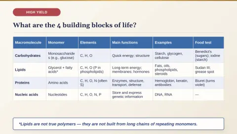 Slide 26