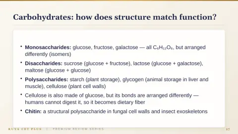 Slide 27