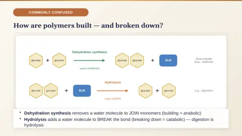 Slide 28