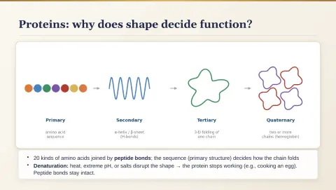 Slide 30