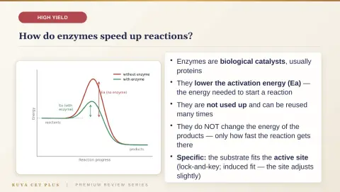 Slide 31
