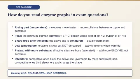 Slide 33