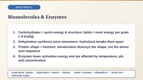 Slide 34