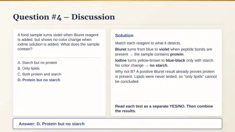 Slide 36