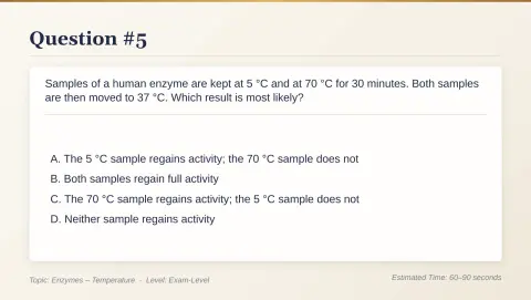 Slide 37