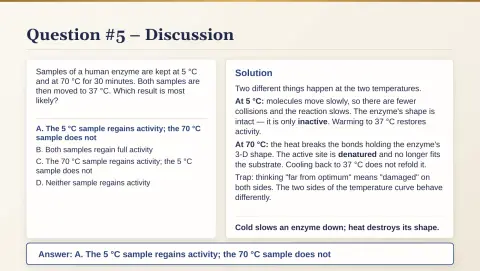 Slide 38