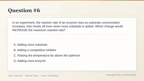 Slide 39