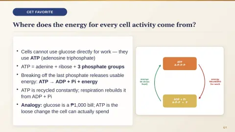 Slide 41