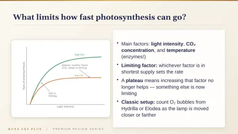 Slide 44