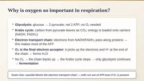 Slide 46