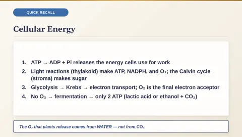 Slide 49