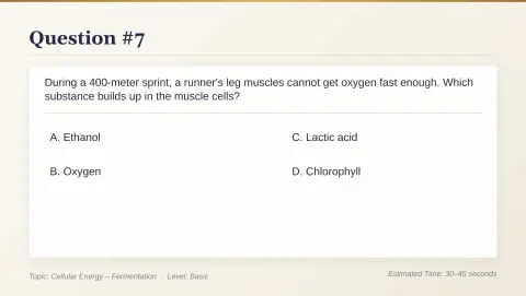 Slide 50