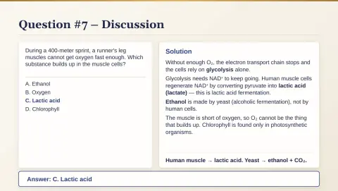 Slide 51