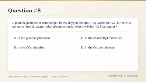 Slide 52