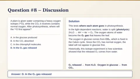 Slide 53