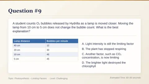 Slide 54