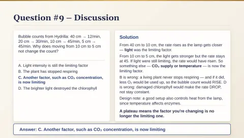 Slide 55